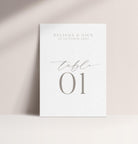 Haze Table Numbers - The Sundae Creative