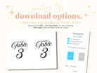 Sofia Modern Table Numbers - The Sundae Creative