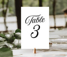 Sofia Modern Table Numbers - The Sundae Creative